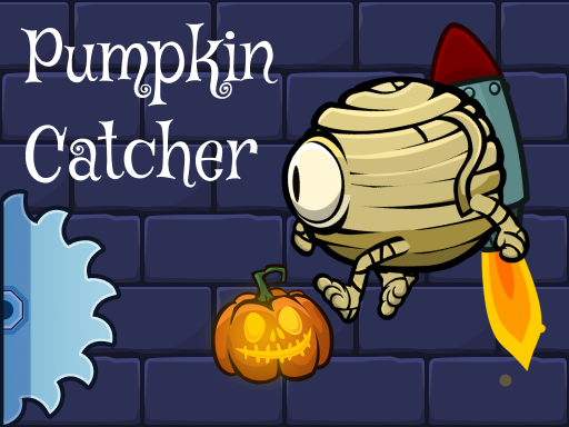 Pumpkin Catcher Cover